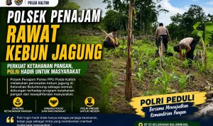 IMG-20260512-WA0065